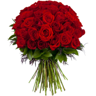 51 red roses with delivery in Russia.